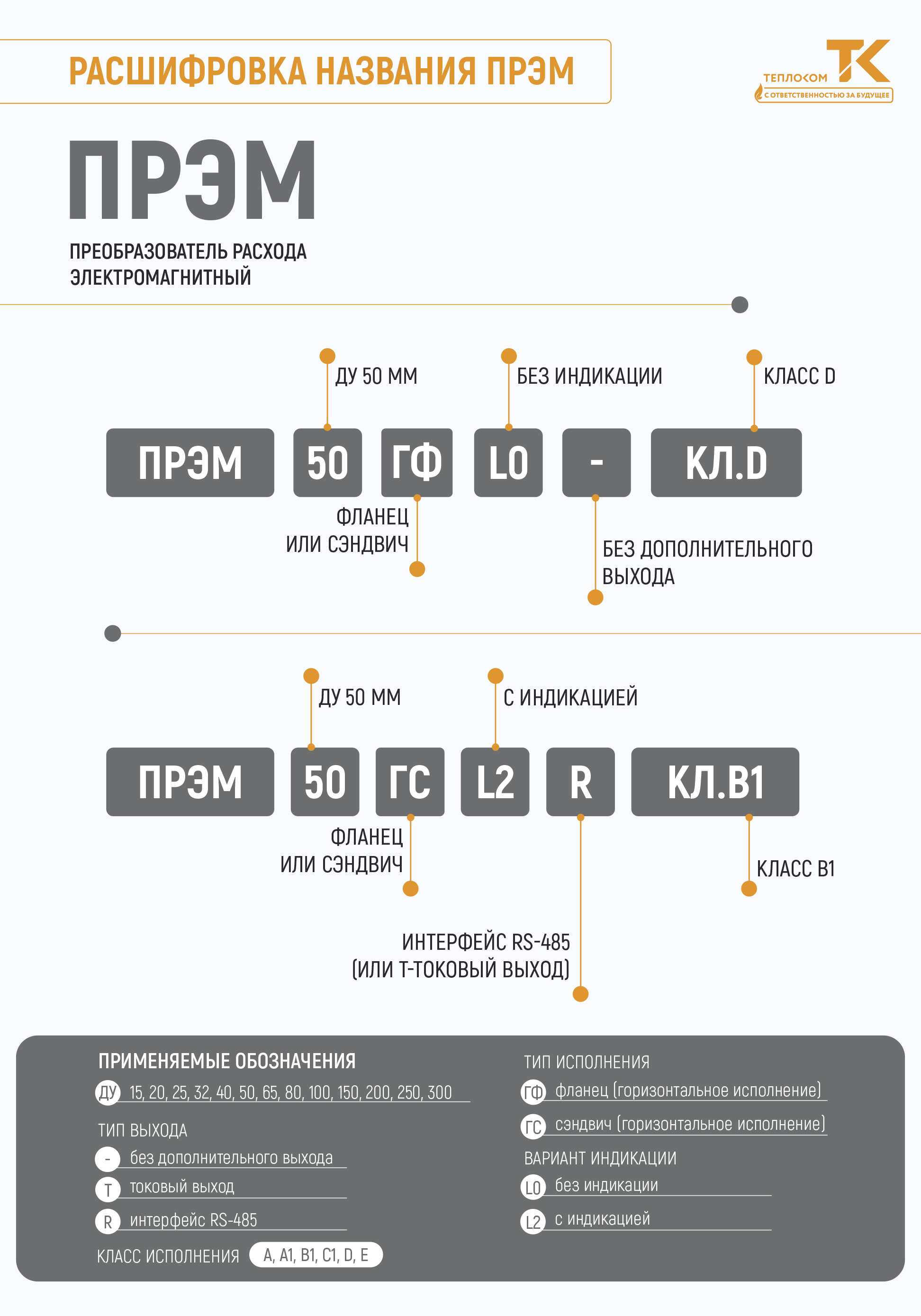 Карта заказа ПРЭМ 25 с интерфейсным модулем